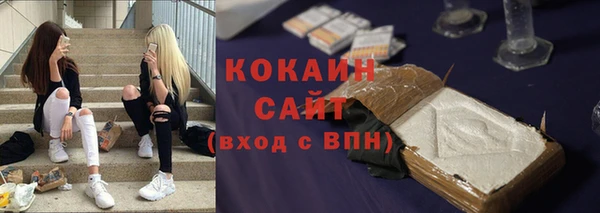стаф Алексин