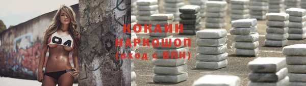 стаф Алексин