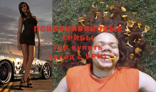 стаф Алексин