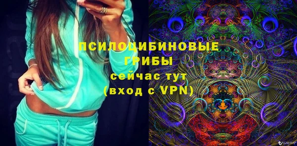 стаф Алексин