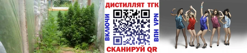OMG онион  Люберцы  ТГК концентрат 