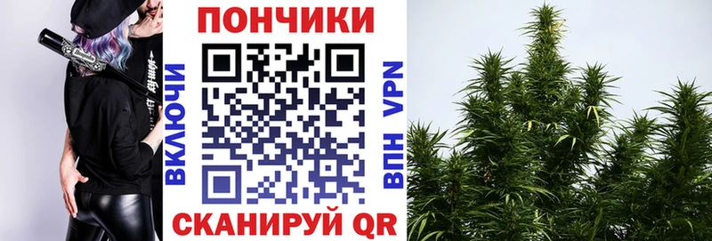 Бошки марихуана THC 21%  где можно купить   Люберцы 
